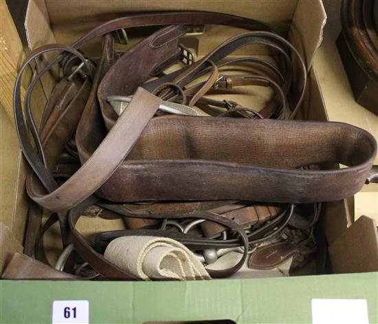 Horses bridles & stirrups, etc